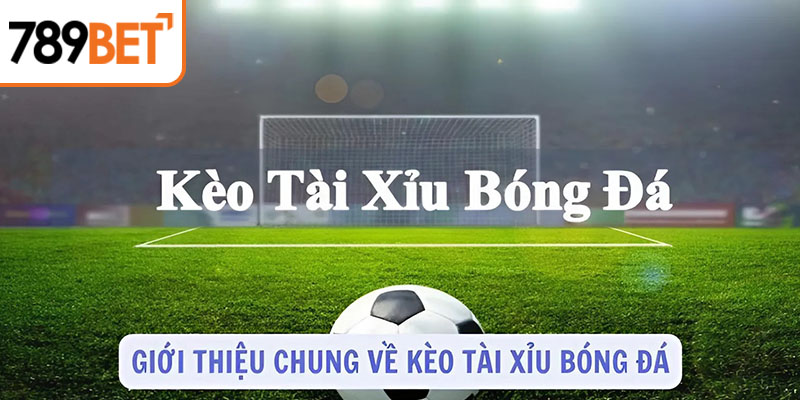 Giới thiệu chung về kèo tài xỉu bóng đá